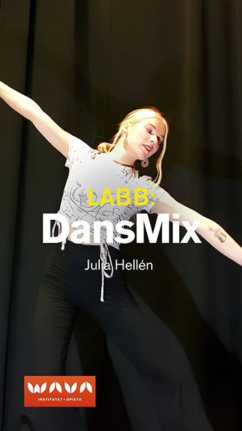 DansMix
