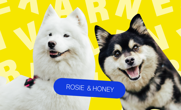 ROSIE&HONEY