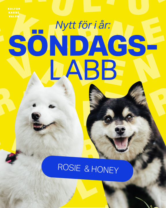 sö